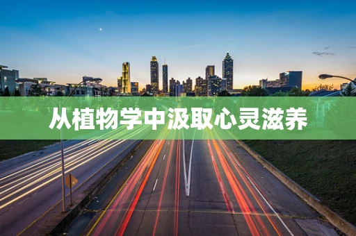 从植物学中汲取心灵滋养