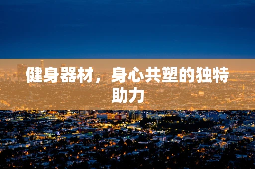 健身器材，身心共塑的独特助力