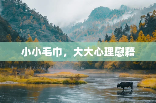 小小毛巾，大大心理慰藉
