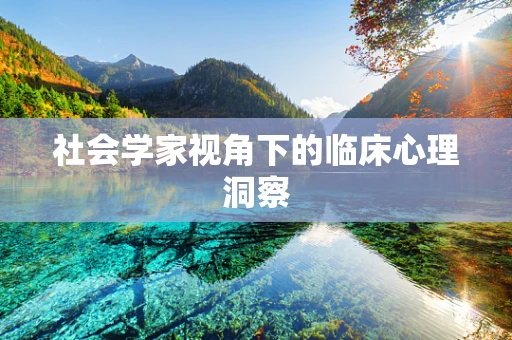 社会学家视角下的临床心理洞察