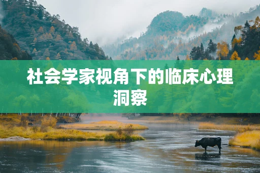 社会学家视角下的临床心理洞察