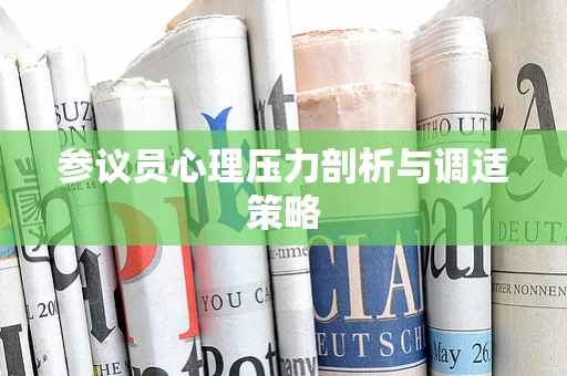 参议员心理压力剖析与调适策略