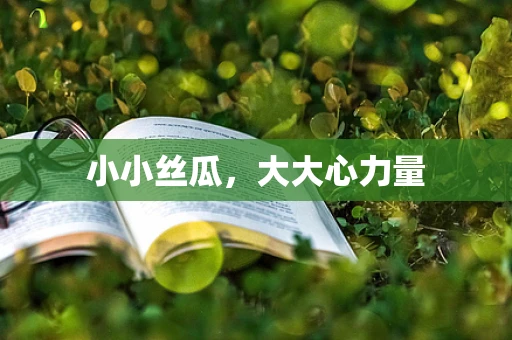 小小丝瓜，大大心力量