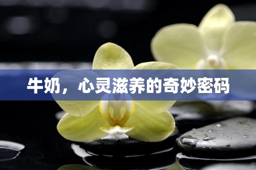 牛奶，心灵滋养的奇妙密码