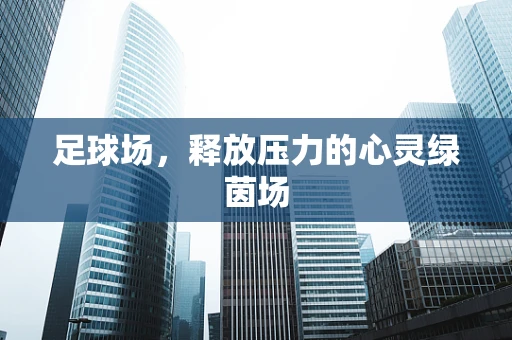 足球场，释放压力的心灵绿茵场