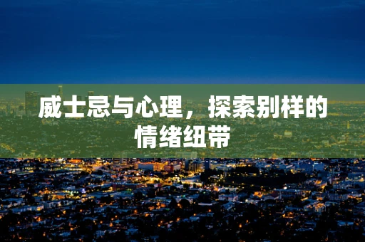 威士忌与心理，探索别样的情绪纽带