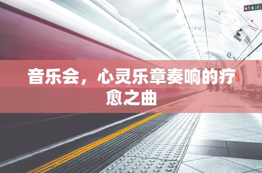 音乐会，心灵乐章奏响的疗愈之曲