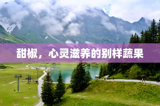 甜椒，心灵滋养的别样蔬果