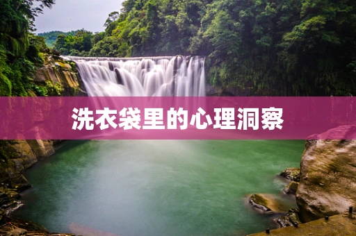 洗衣袋里的心理洞察