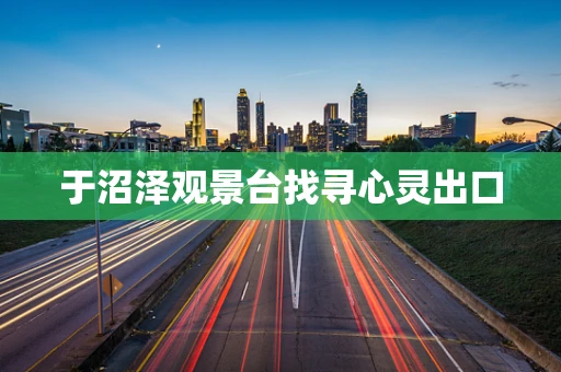 于沼泽观景台找寻心灵出口