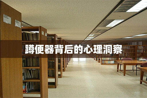 蹲便器背后的心理洞察