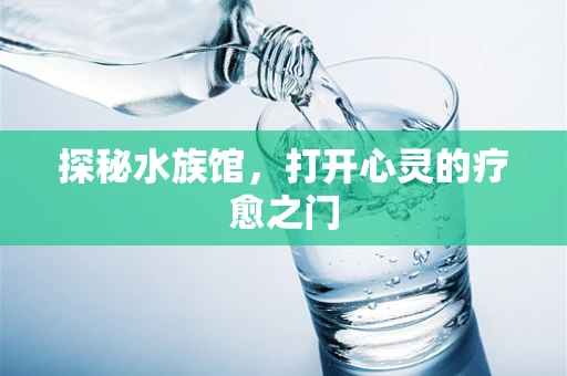 探秘水族馆，打开心灵的疗愈之门