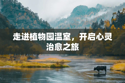 走进植物园温室，开启心灵治愈之旅
