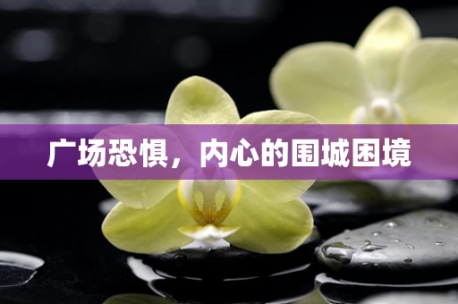 广场恐惧，内心的围城困境