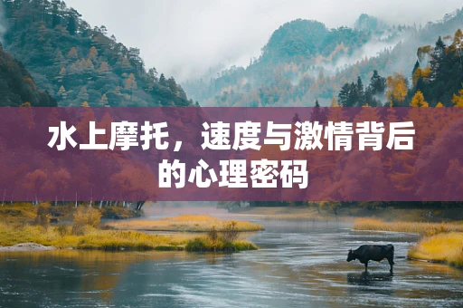水上摩托，速度与激情背后的心理密码