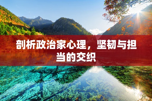 剖析政治家心理，坚韧与担当的交织
