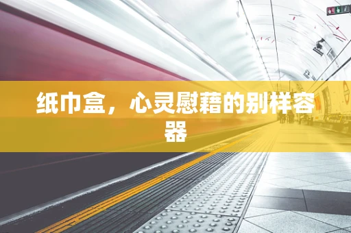 纸巾盒，心灵慰藉的别样容器