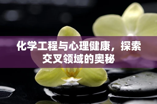 化学工程与心理健康，探索交叉领域的奥秘
