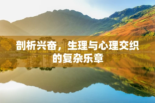 剖析兴奋，生理与心理交织的复杂乐章