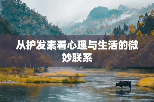 从护发素看心理与生活的微妙联系