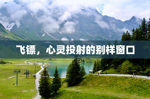 飞镖，心灵投射的别样窗口