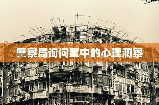 警察局询问室中的心理洞察
