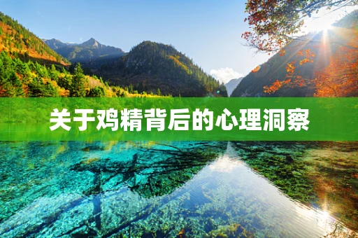 关于鸡精背后的心理洞察