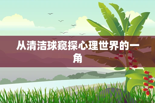 从清洁球窥探心理世界的一角