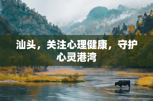 汕头，关注心理健康，守护心灵港湾