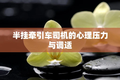 半挂牵引车司机的心理压力与调适