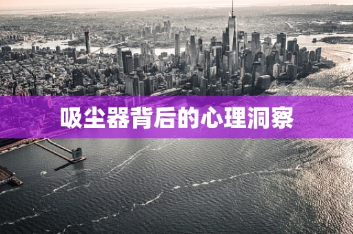 吸尘器背后的心理洞察