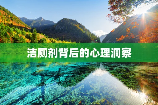 洁厕剂背后的心理洞察