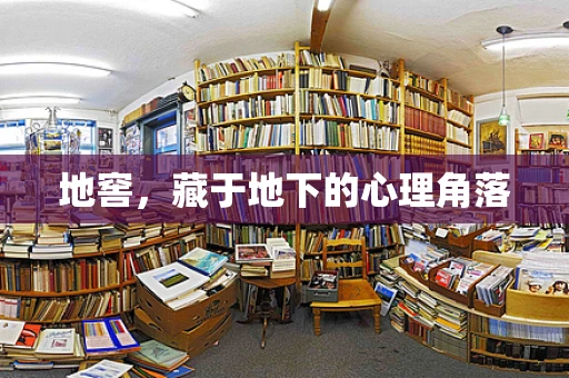 地窖，藏于地下的心理角落