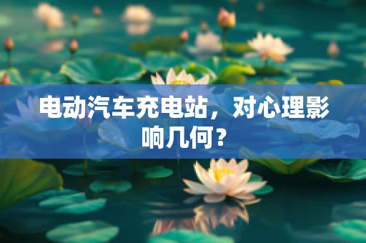 电动汽车充电站，对心理影响几何？