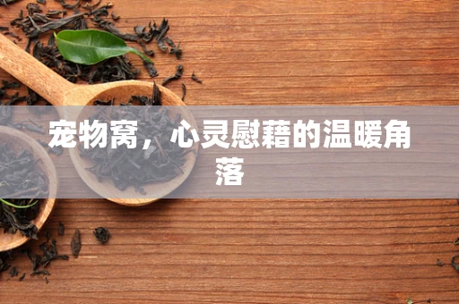 宠物窝，心灵慰藉的温暖角落