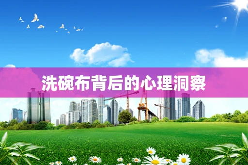洗碗布背后的心理洞察