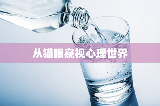 从猫眼窥视心理世界
