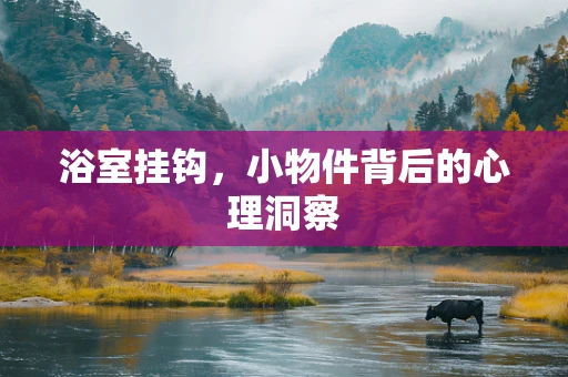 浴室挂钩，小物件背后的心理洞察