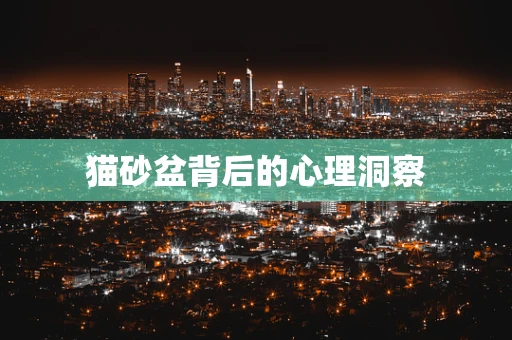 猫砂盆背后的心理洞察