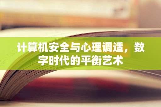 计算机安全与心理调适，数字时代的平衡艺术
