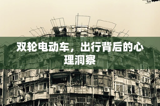 双轮电动车，出行背后的心理洞察