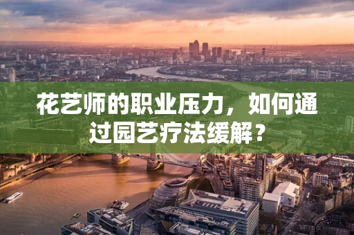 花艺师的职业压力，如何通过园艺疗法缓解？