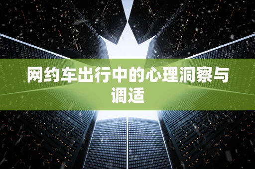 网约车出行中的心理洞察与调适