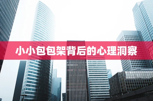 小小包包架背后的心理洞察