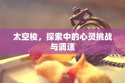 太空梭，探索中的心灵挑战与调适
