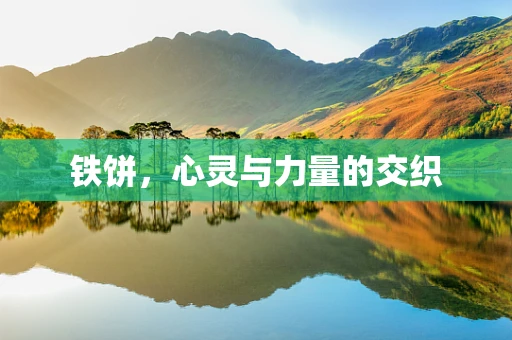 铁饼，心灵与力量的交织