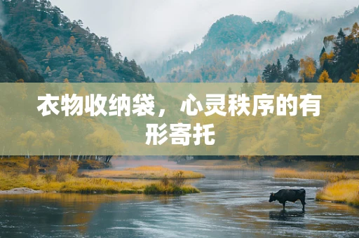 衣物收纳袋，心灵秩序的有形寄托