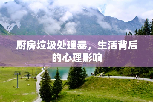 厨房垃圾处理器，生活背后的心理影响