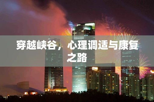 穿越峡谷，心理调适与康复之路