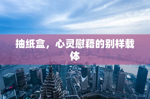 抽纸盒，心灵慰藉的别样载体